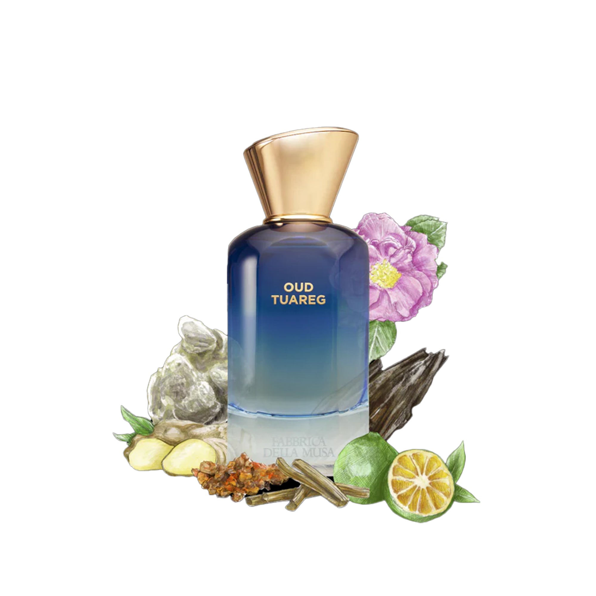 Oud Tuareg