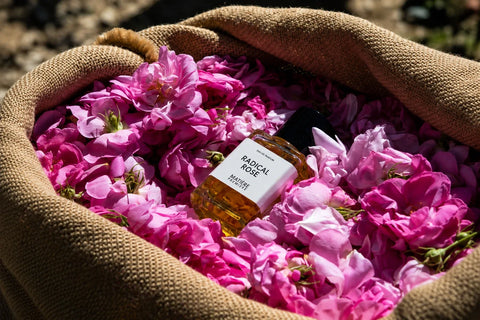 Flakon Radical Rose von Matière Première in einem Jutesack voller frisch geernteter Centifolia-Rosen
