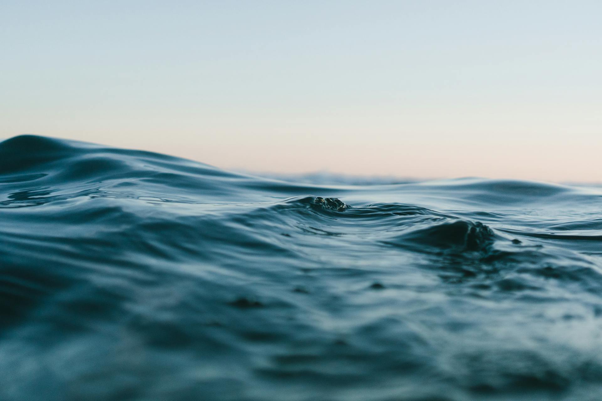 Aquatic