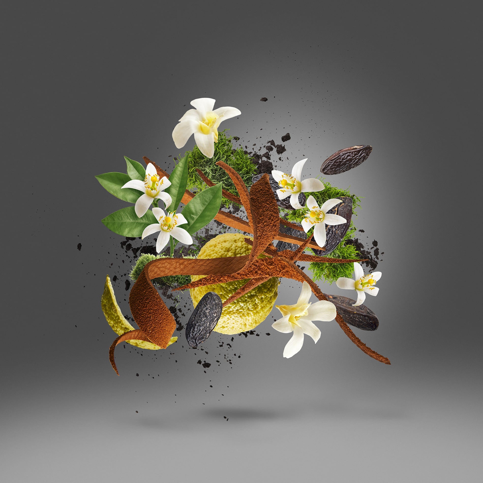 Flakon des Nischenparfums 17/17 Stonelabel - Homme Anniversary von Xerjoff