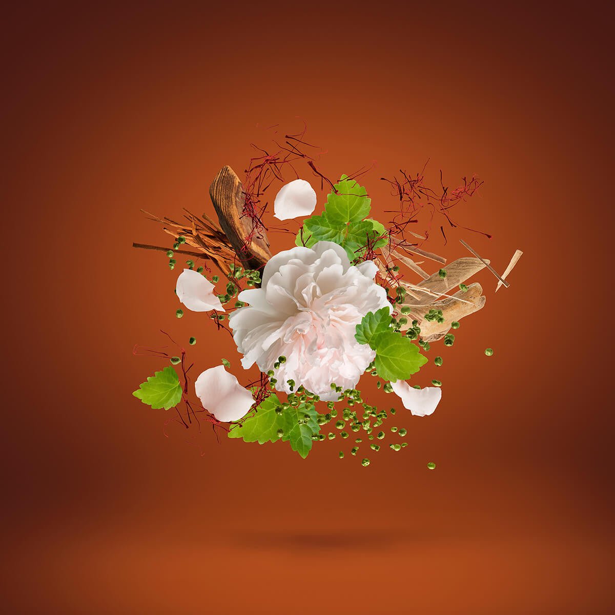 Flakon des Nischenparfums Casamorati 1888 - 1888 von Xerjoff