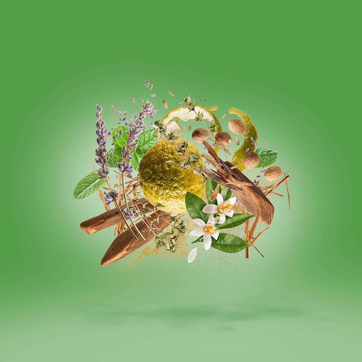 Flakon des Nischenparfums Casamorati 1888 - Fiero von Xerjoff