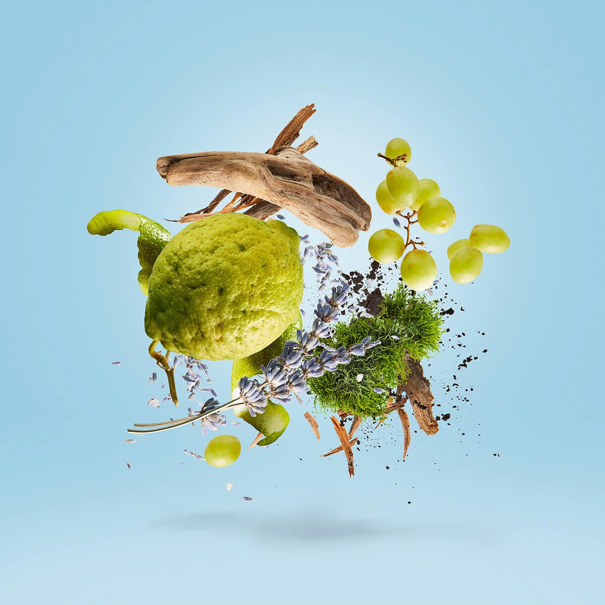 Flakon des Nischenparfums Casamorati 1888 - Mefisto Gentiluomo von Xerjoff