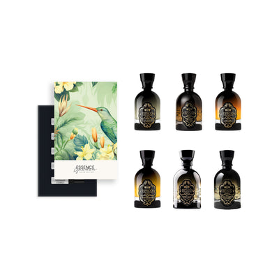 Discovery-Set | Epico