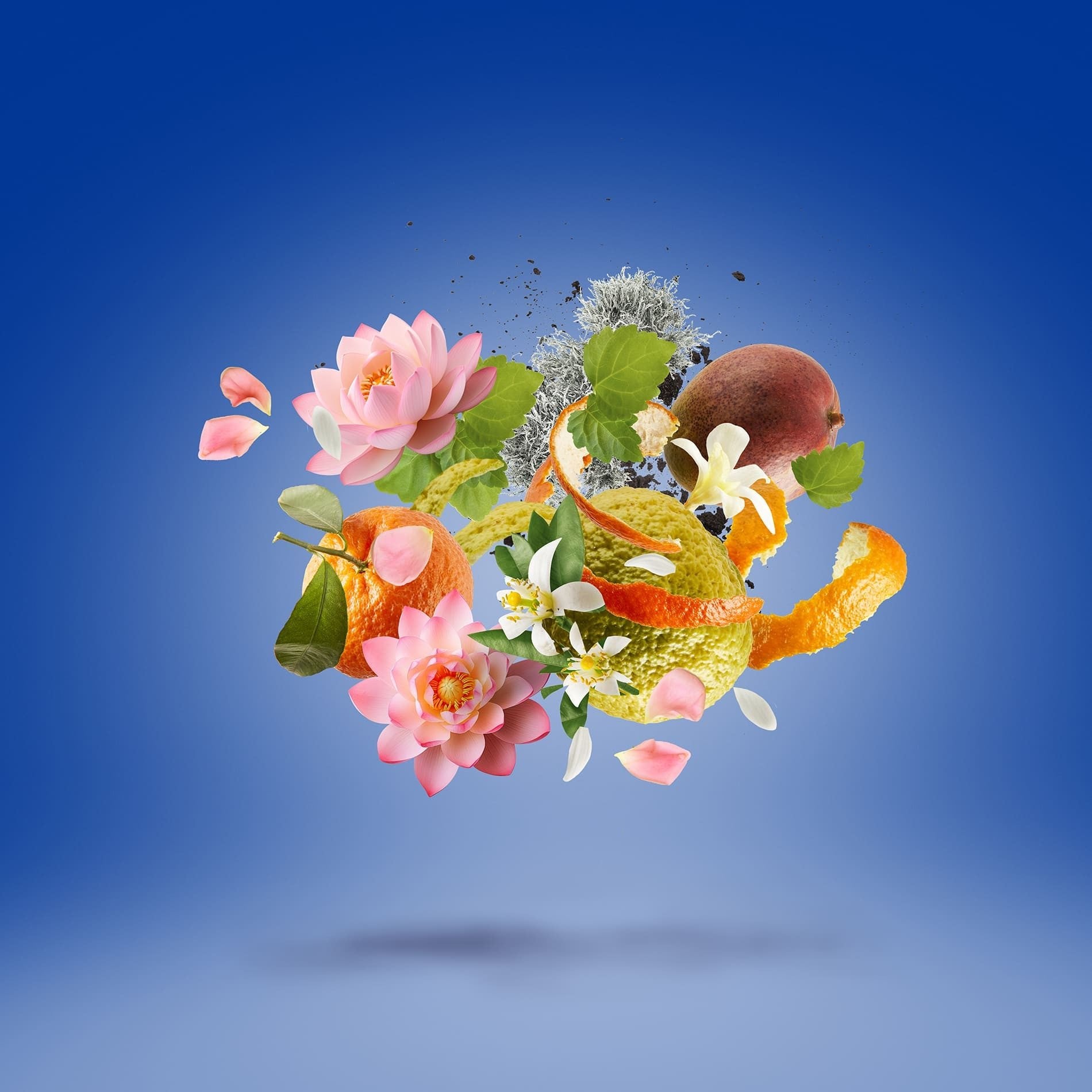 Flakon des Nischenparfums Join The Club - Torino24 von Xerjoff