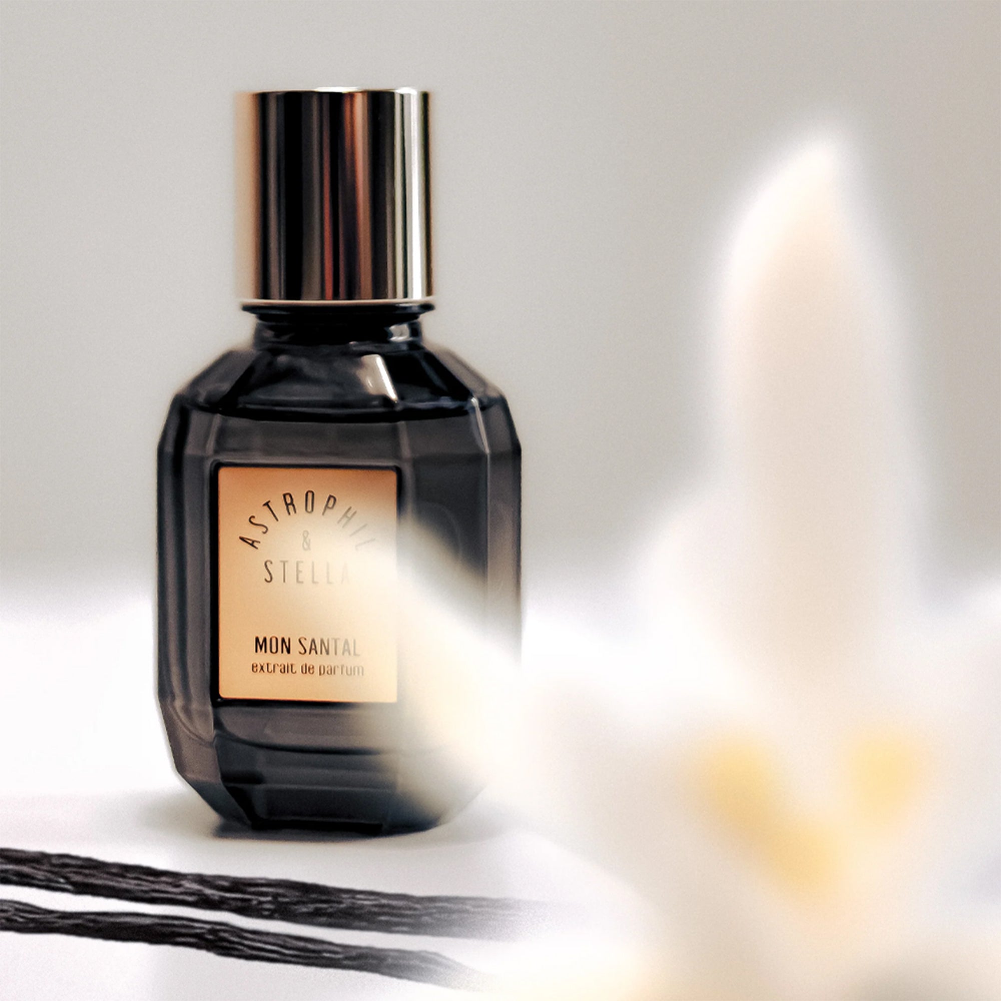 Flakon des Nischenparfums Mon Santal von Astrophil & Stella