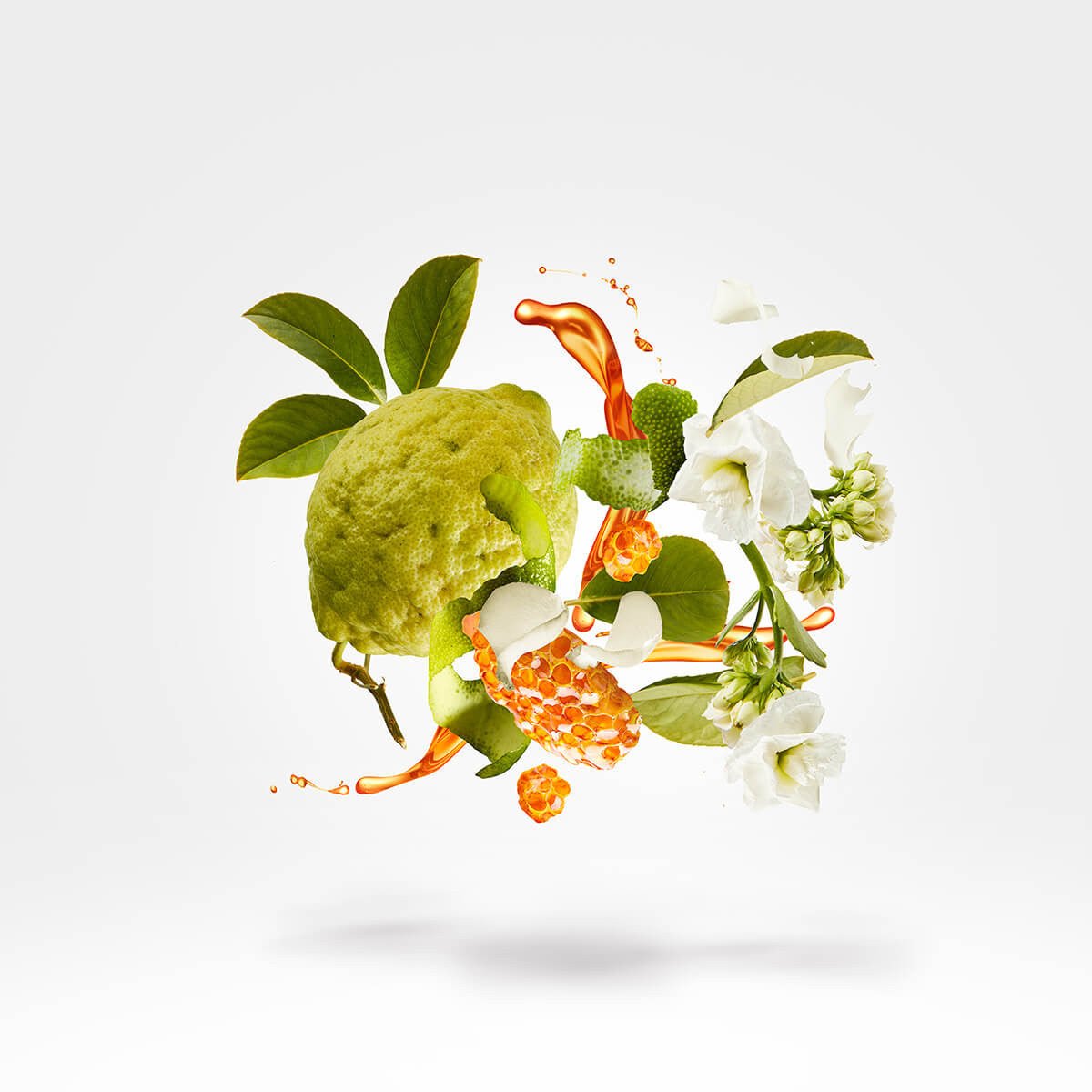 Flakon des Nischenparfums XJ 1861 - Naxos von Xerjoff