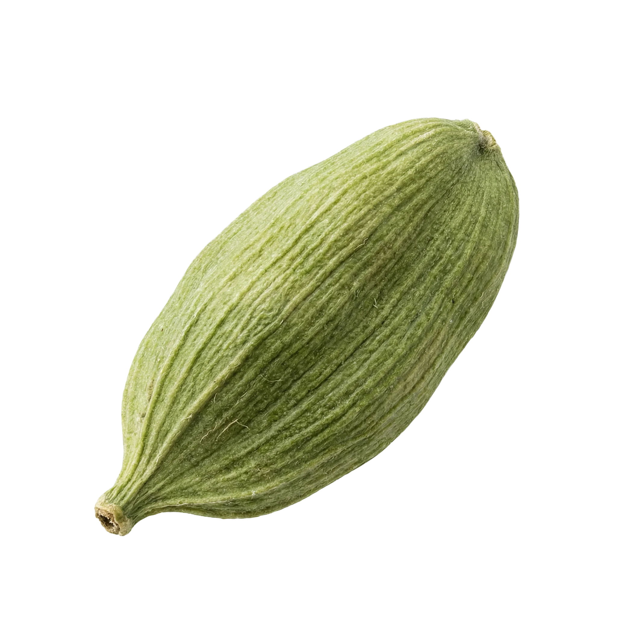 Kardamom