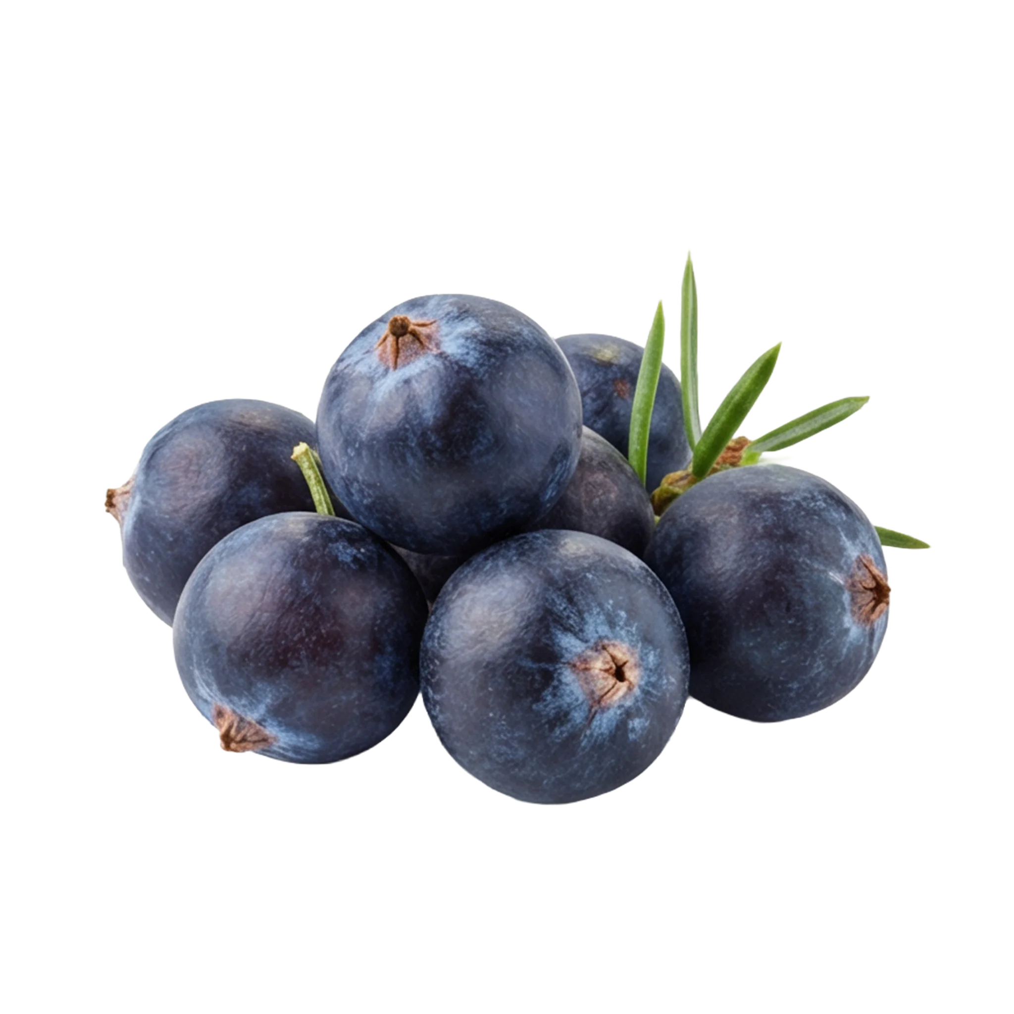 Wacholderbeeren