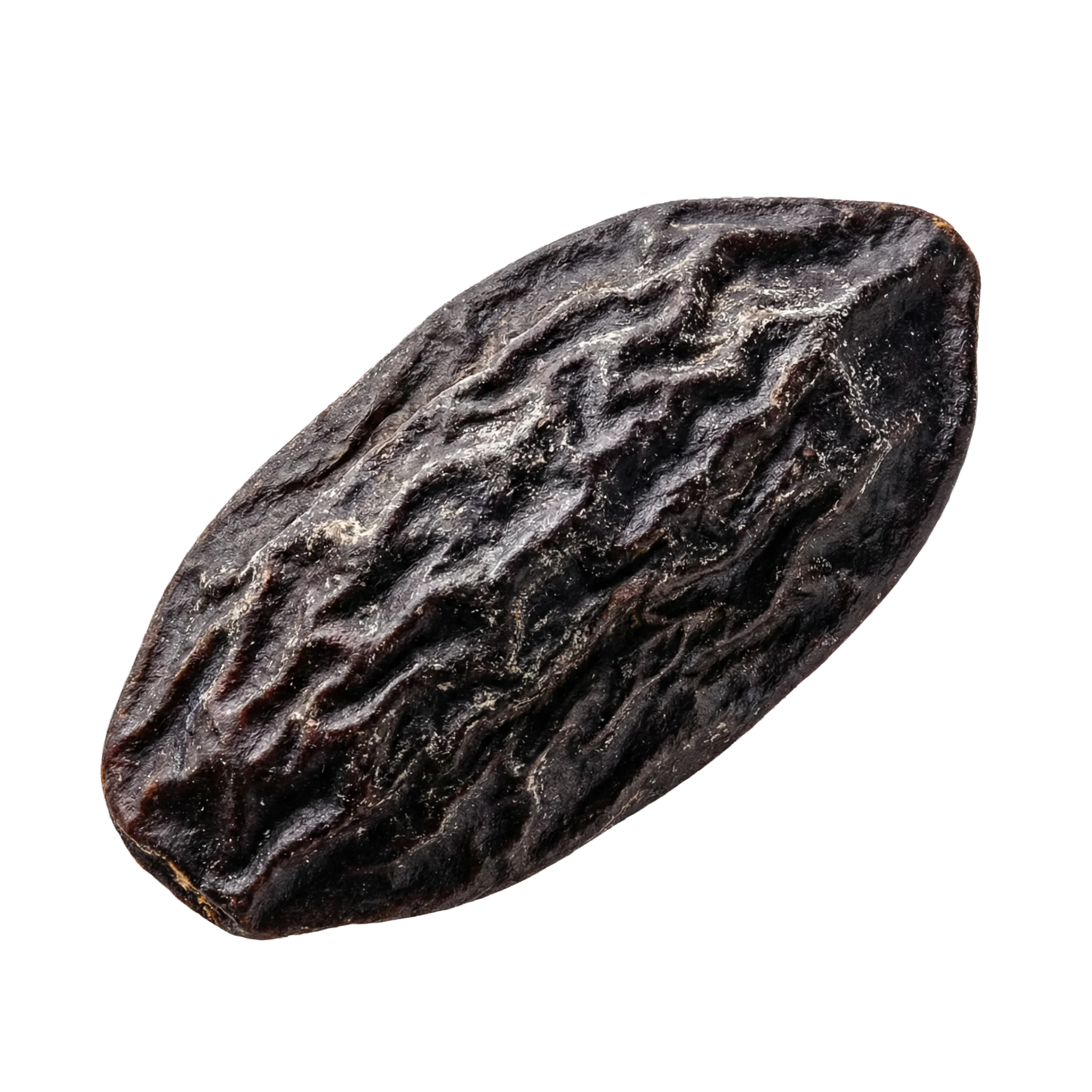 afrikanische Tonkabohne