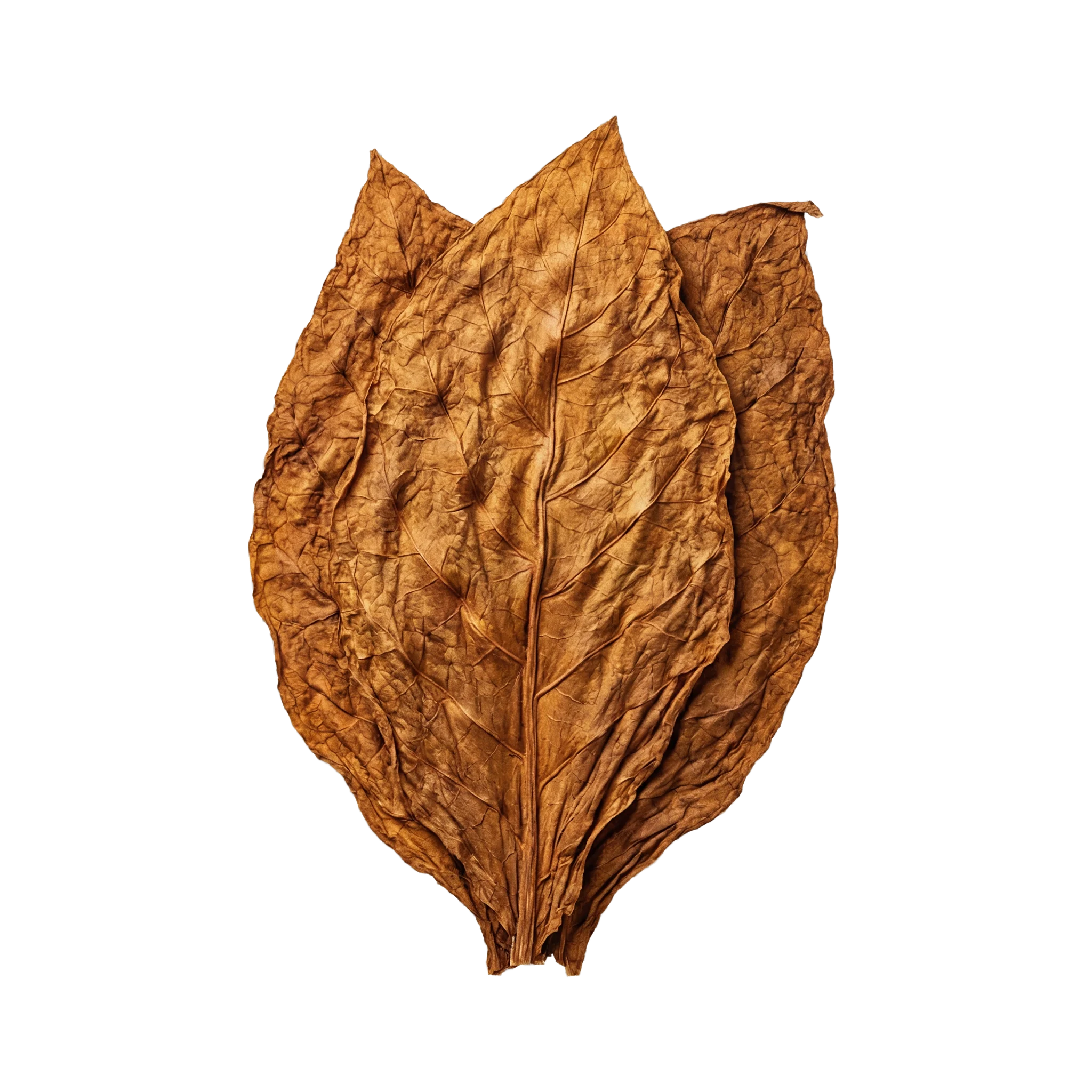 Tobacco